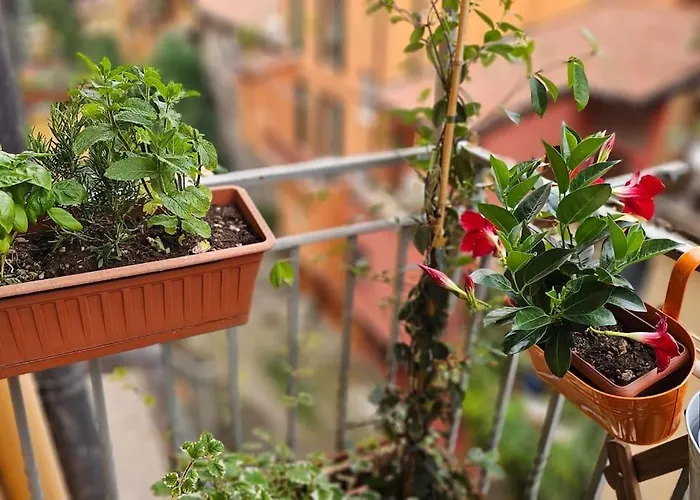 Appartement In Centro Con Vista Sul Canale *